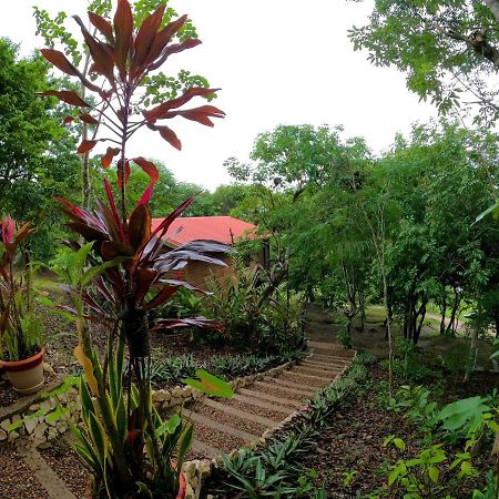 Santa Elena Santa Cruz Cabins מראה חיצוני תמונה