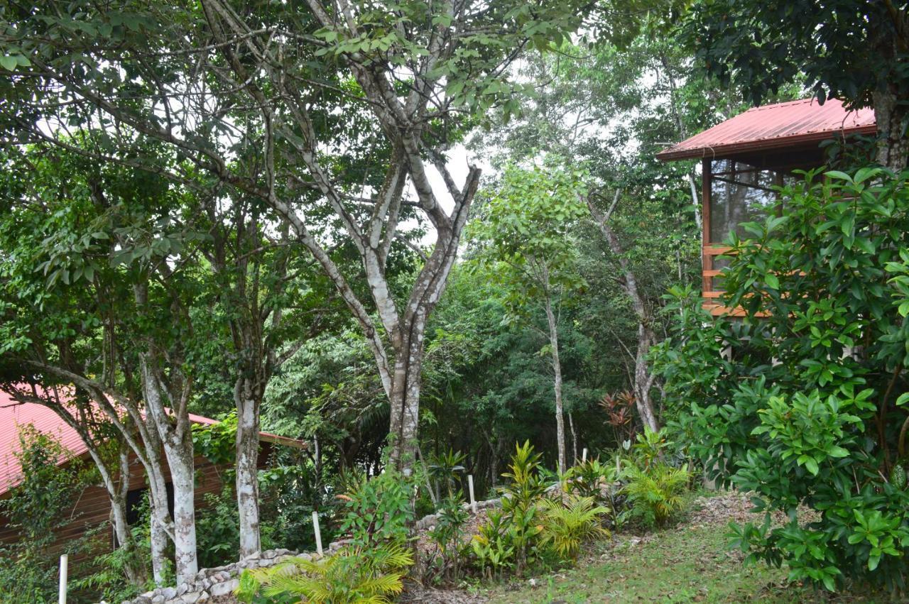 Santa Elena Santa Cruz Cabins מראה חיצוני תמונה