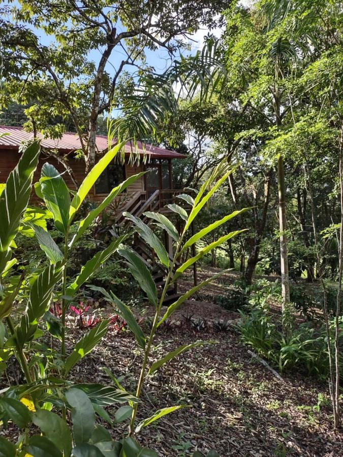Santa Elena Santa Cruz Cabins מראה חיצוני תמונה