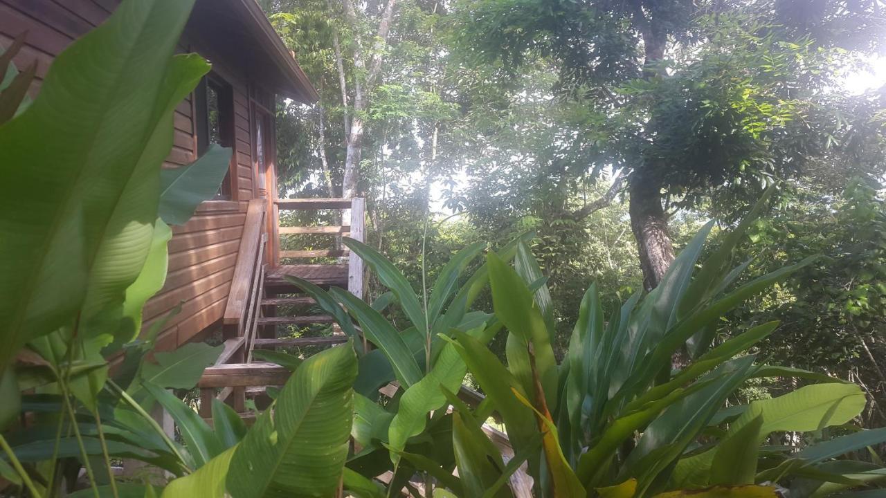 Santa Elena Santa Cruz Cabins מראה חיצוני תמונה